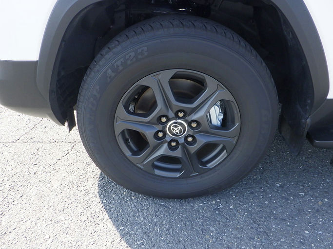 Toyota Land Cruiser 300 series photo 10